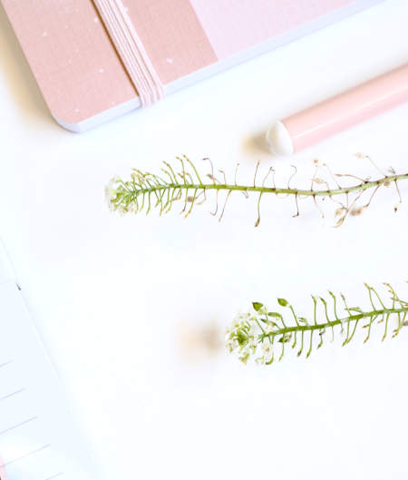 Notebook and plants