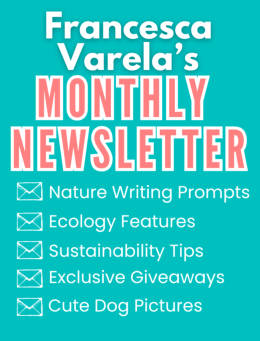 Sign up for Francesca's monthly newsletter