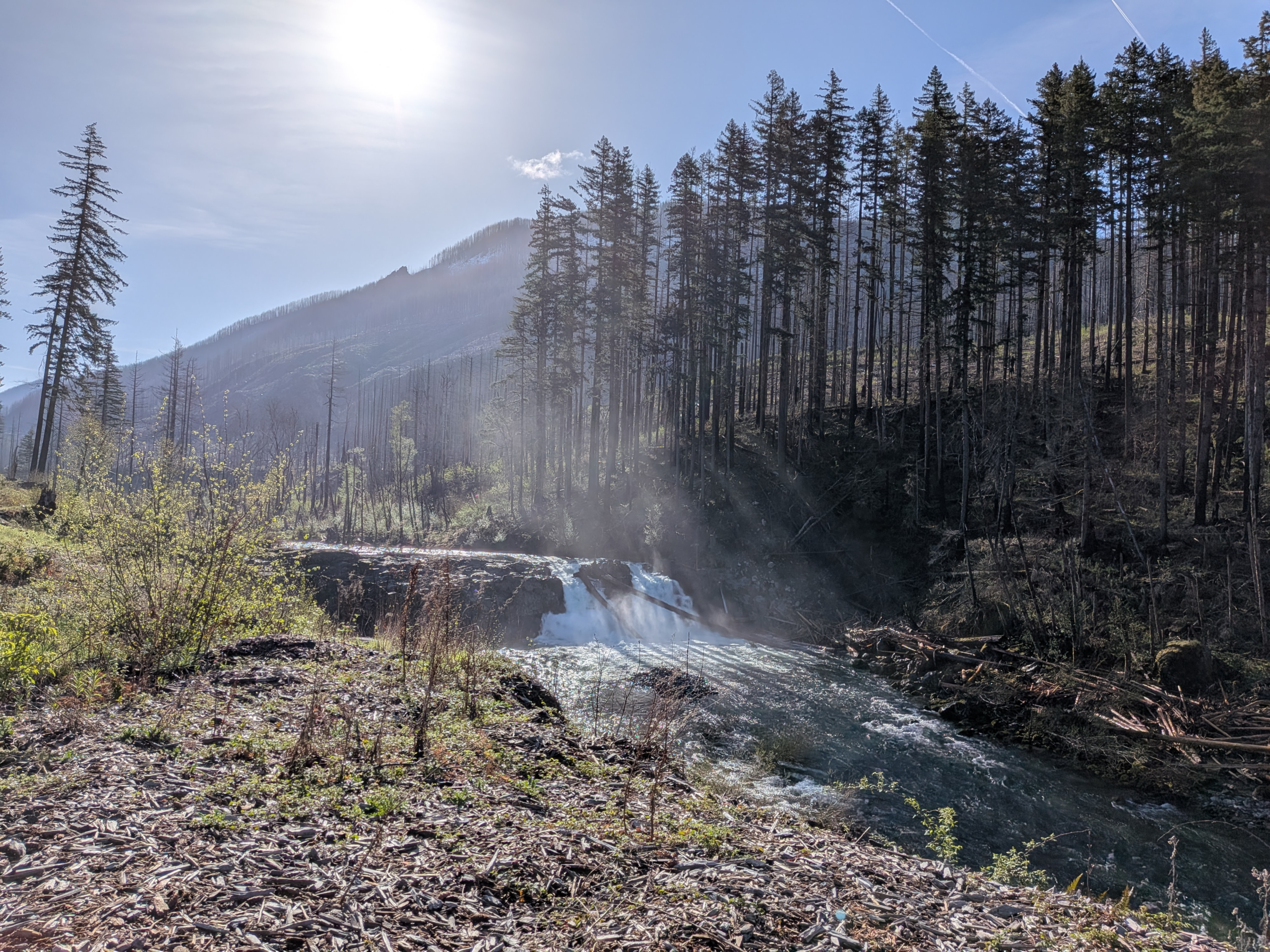 Salmon Falls