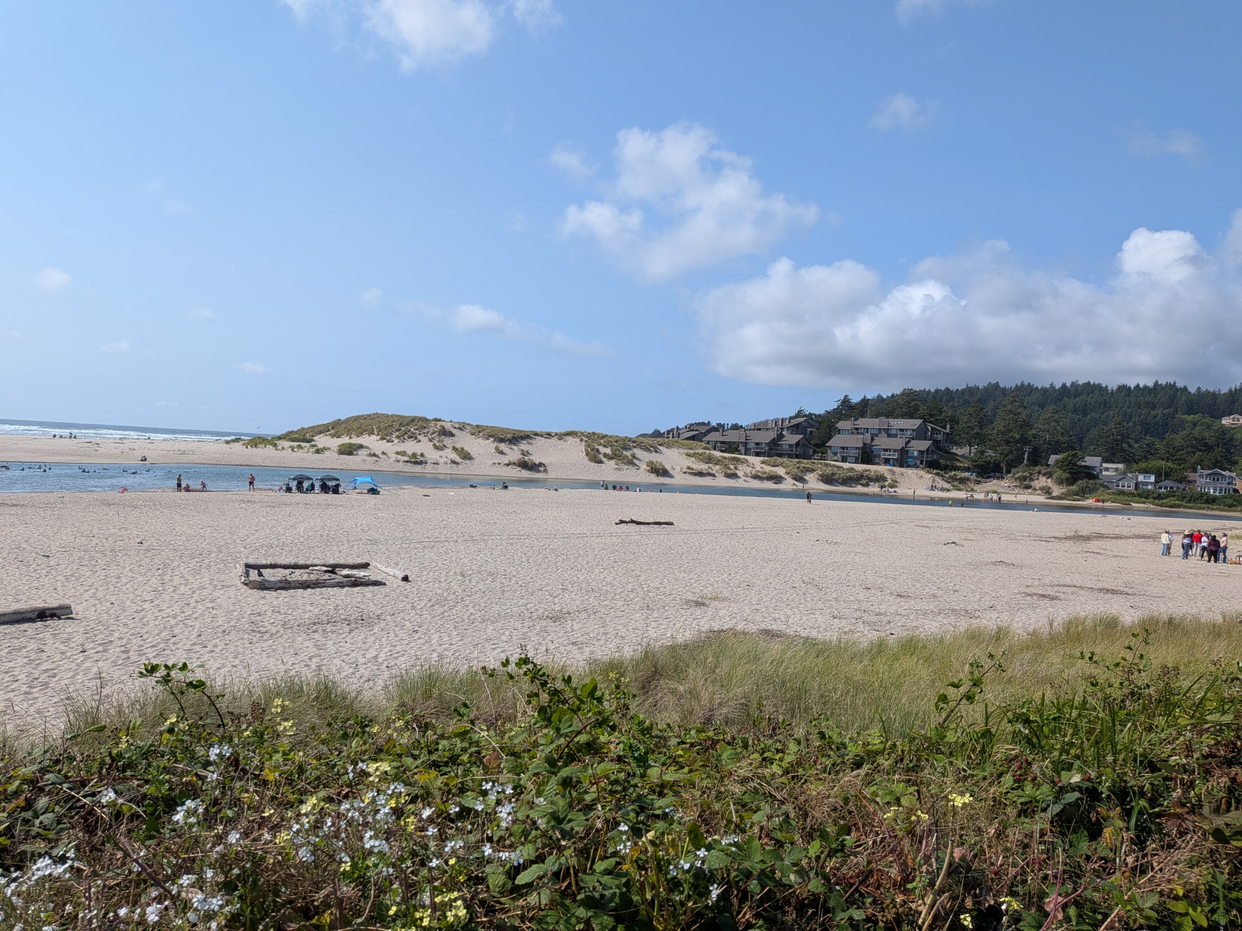 Photo of the Oregon Coast by Francesca Varela