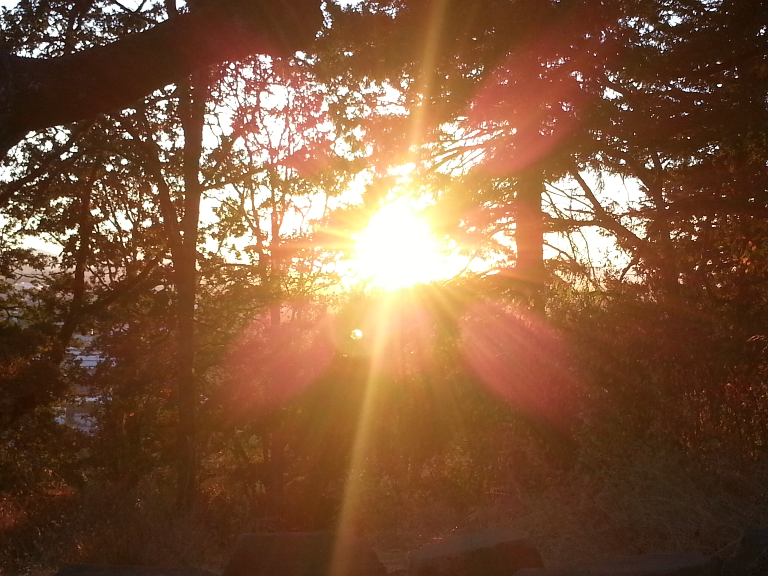 Photo of the sunset by Francesca Varela
